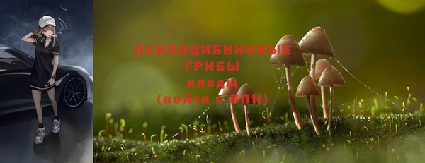 мет Балахна
